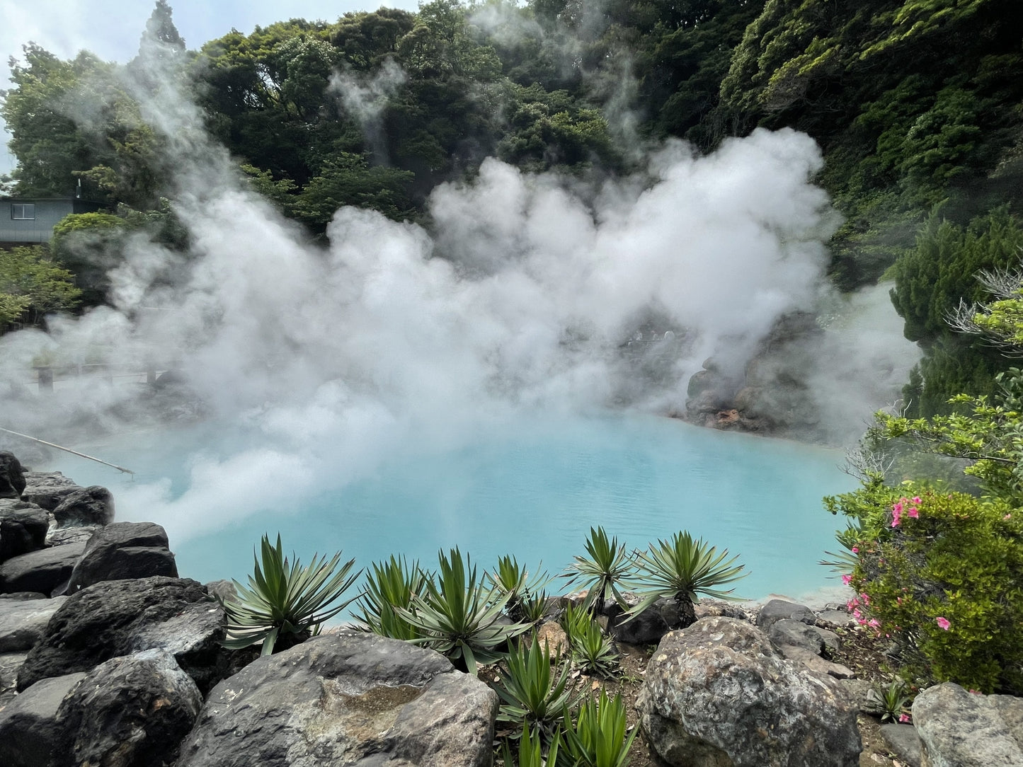 Beppu Shore Excursion (4h): Hells natural hot springs, Steam & Sky Views