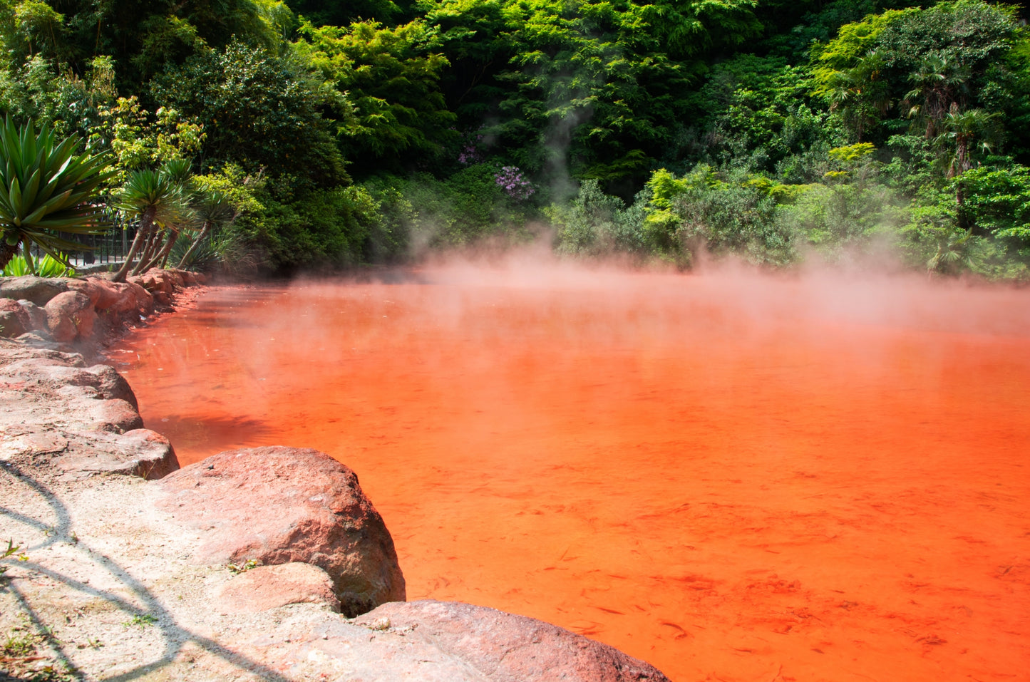 The Boiling Hells & Hot Spring Culture Private Shore Excursion from Beppu Port：7-Hour