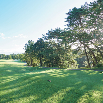 시즈오카 공항 · 시마다시 호텔 · 골프장 송영 서비스