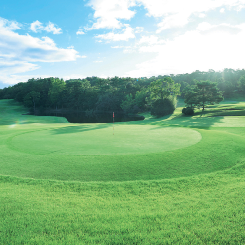 Golf course with green grass, trees, and a clear sky