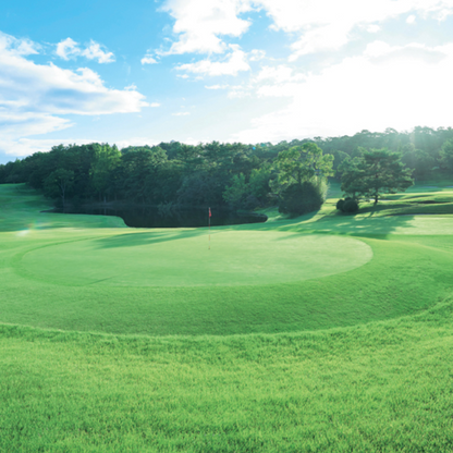 Golf course with green grass, trees, and a clear sky
