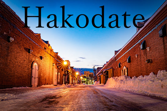Nostalgic Port Town & Bay Area Dash Private Shore Excursion from Hakodate Port [3 hour]