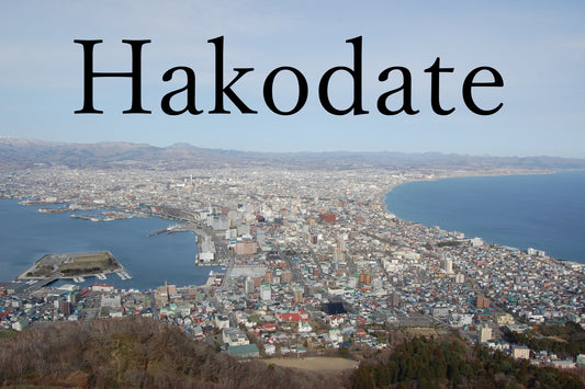 The Last Samurai Fort & Mountain Panorama Dash Private Shore Excursion from Hakodate Port [3 hour]