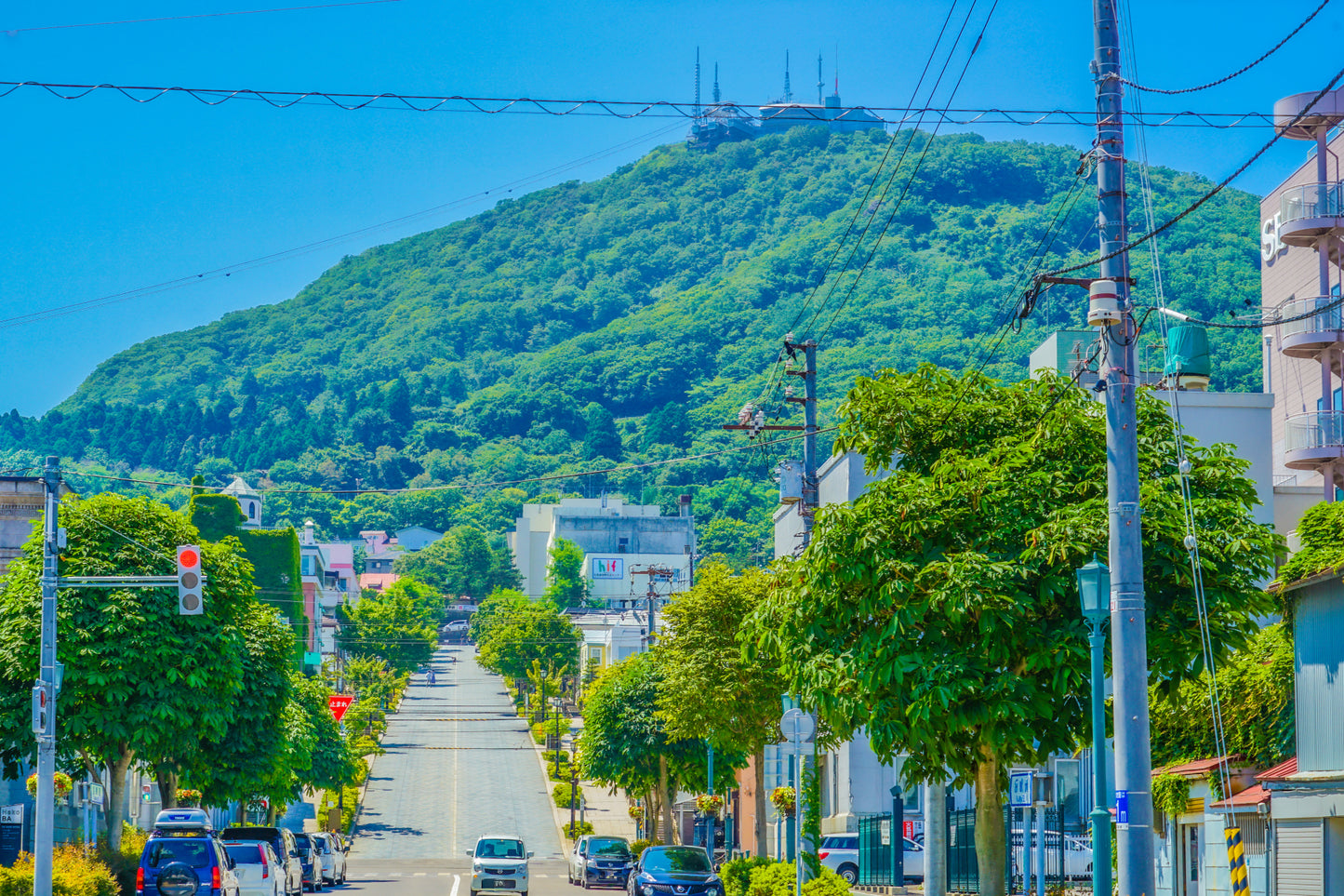 The Last Samurai Fort & Mountain Panorama Dash Private Shore Excursion from Hakodate Port [3 hour]