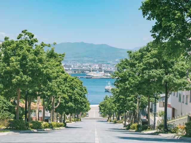 Nostalgic Port Town & Bay Area Dash Private Shore Excursion from Hakodate Port [3 hour]