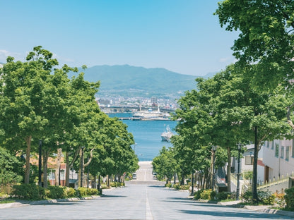Nostalgic Port Town & Bay Area Dash Private Shore Excursion from Hakodate Port [3 hour]
