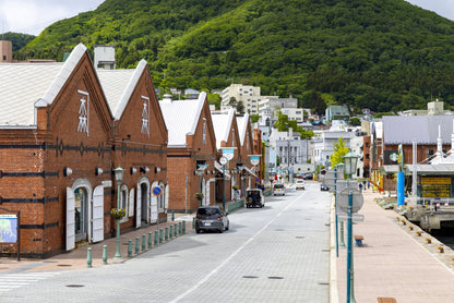 Nostalgic Port Town & Bay Area Dash Private Shore Excursion from Hakodate Port [3 hour]