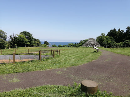 Deep Prehistoric History & Coastal Geysers Private Shore Excursion from Hakodate Port：7-Hour
