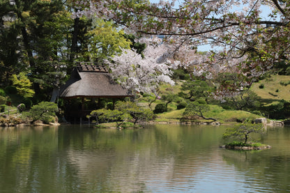 Hiroshima Custom Private Shore Excursion: World Heritage Sites, Peace Memorials & Historic Gardens