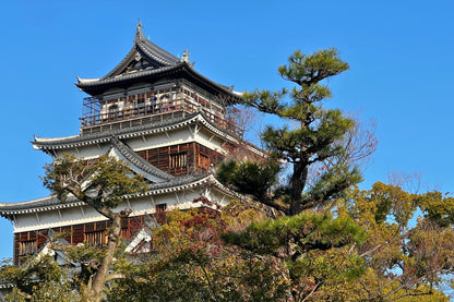 Hiroshima Cultural Tour: From the Dome to the Castle(4h)
