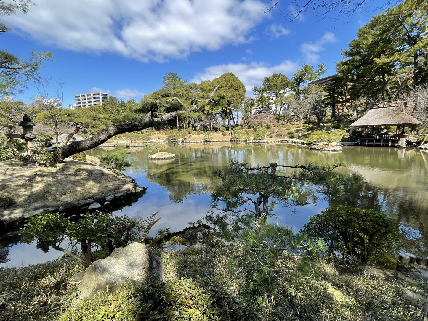 Hiroshima Cultural Tour: From the Dome to the Castle(4h)