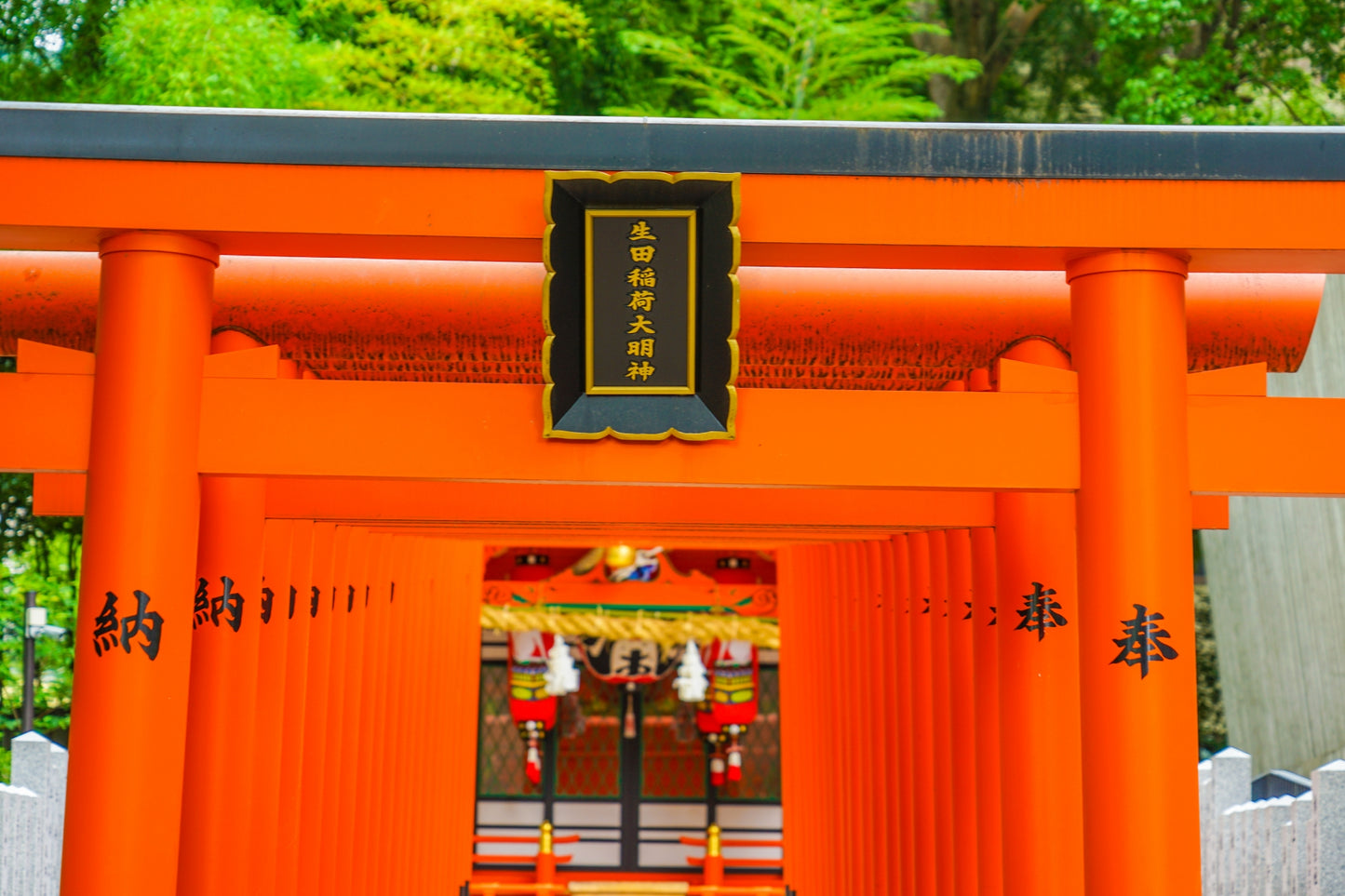 Discover the Charm of Kobe: A 4-Hour Taxi Tour from Port