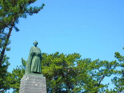 Kochi Cruise Tour (7h): Ryugado Cave, Hirome Market, Kochi Castle & Katsurahama