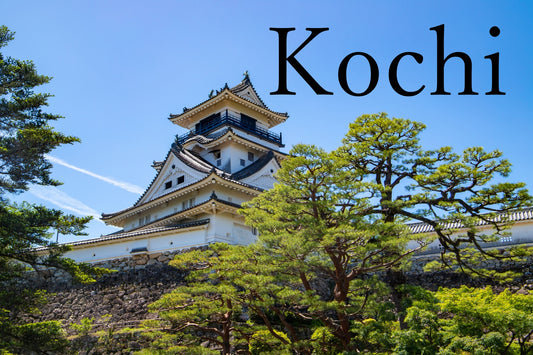 Kochi Cruise Tour (7h): Ryugado Cave, Hirome Market, Kochi Castle & Katsurahama
