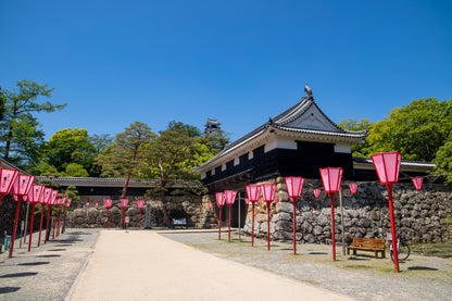 Kochi Cruise Tour (7h): Ryugado Cave, Hirome Market, Kochi Castle & Katsurahama