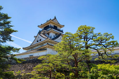 Kochi Cruise Tour (7h): Ryugado Cave, Hirome Market, Kochi Castle & Katsurahama