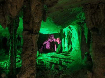 Kochi Cruise Tour (7h): Ryugado Cave, Hirome Market, Kochi Castle & Katsurahama