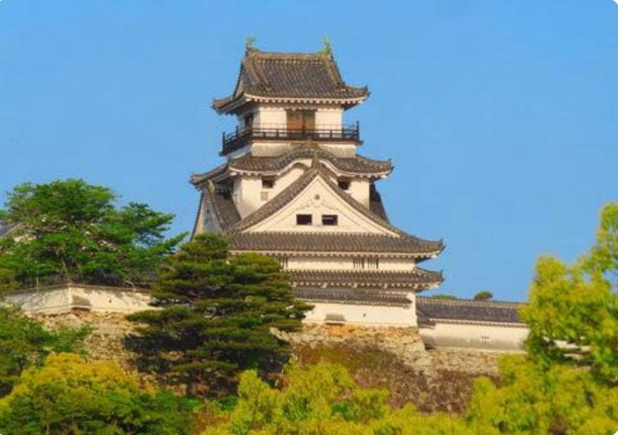 Kochi Cruise Tour (7h): Ryugado Cave, Hirome Market, Kochi Castle & Katsurahama