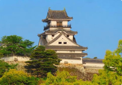 Kochi Cruise Tour (7h): Ryugado Cave, Hirome Market, Kochi Castle & Katsurahama