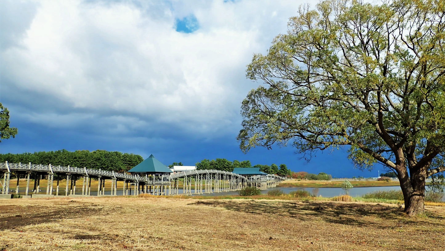 Kushiro Nature and Culture Tour: 4 Hour Exploration in Hokkaido