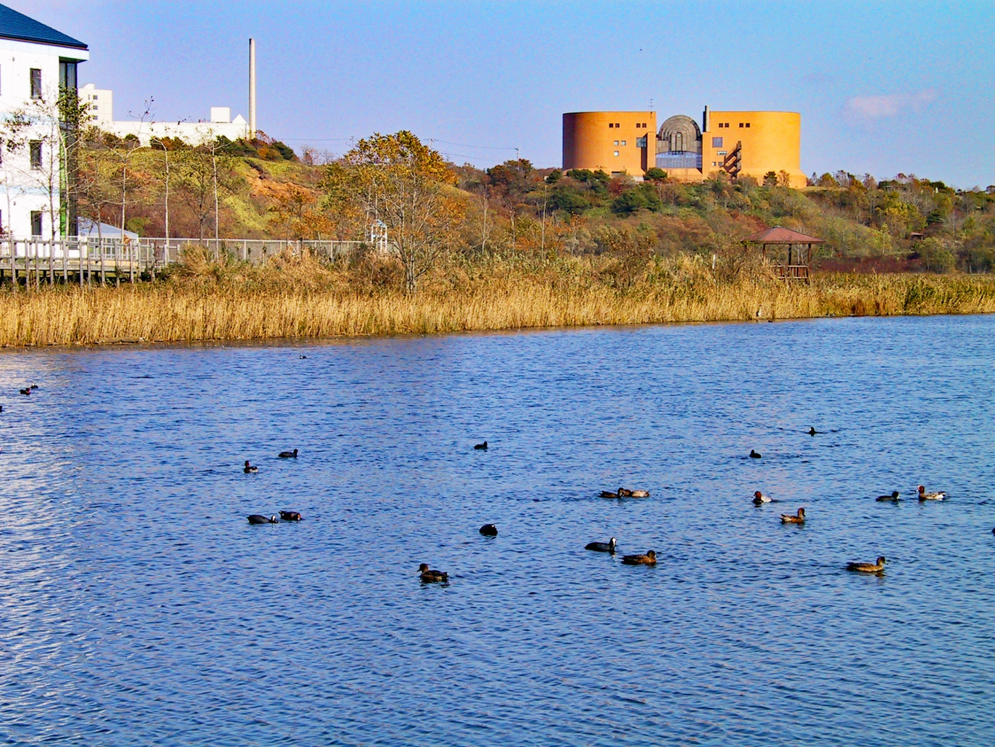 Kushiro Nature and Culture Tour: 4 Hour Exploration in Hokkaido