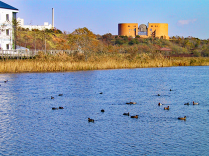 Kushiro Nature and Culture Tour: 4 Hour Exploration in Hokkaido