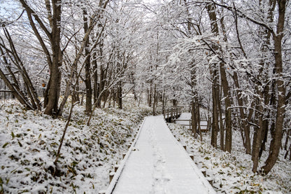 Explore Kushiro's Nature and Ainu Culture: A 6-Hour Shore Excursion in Hokkaido