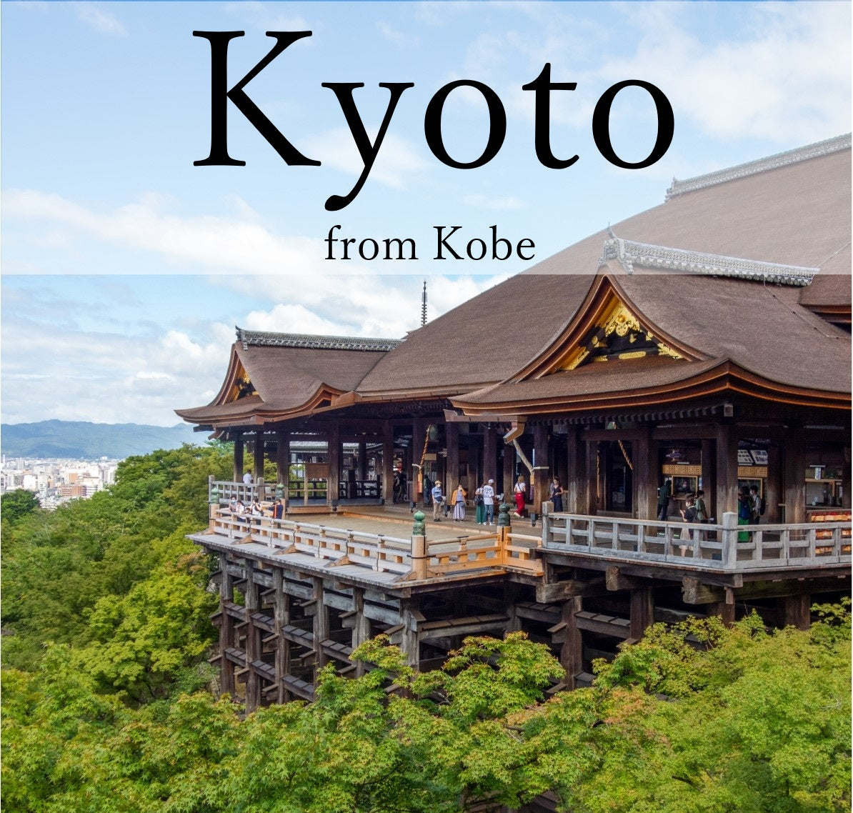 Kyoto’s Timeless Beauty: An 8-9 Hour Taxi Tour from Kobe