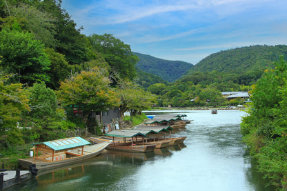 Kyoto’s Timeless Beauty: An 8-9 Hour Taxi Tour from Kobe