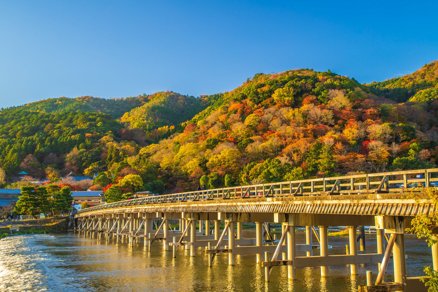 Kyoto’s Timeless Beauty: An 8-9 Hour Taxi Tour from Kobe