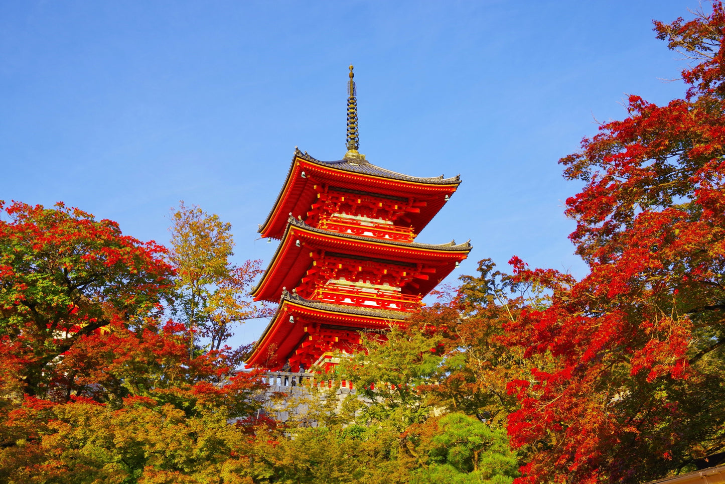 Kyoto’s Timeless Beauty: An 8-9 Hour Taxi Tour from Kobe