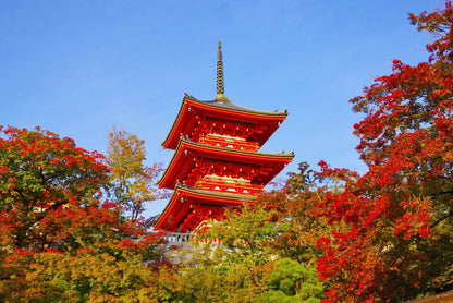Kyoto’s Timeless Beauty: An 8-9 Hour Taxi Tour from Kobe