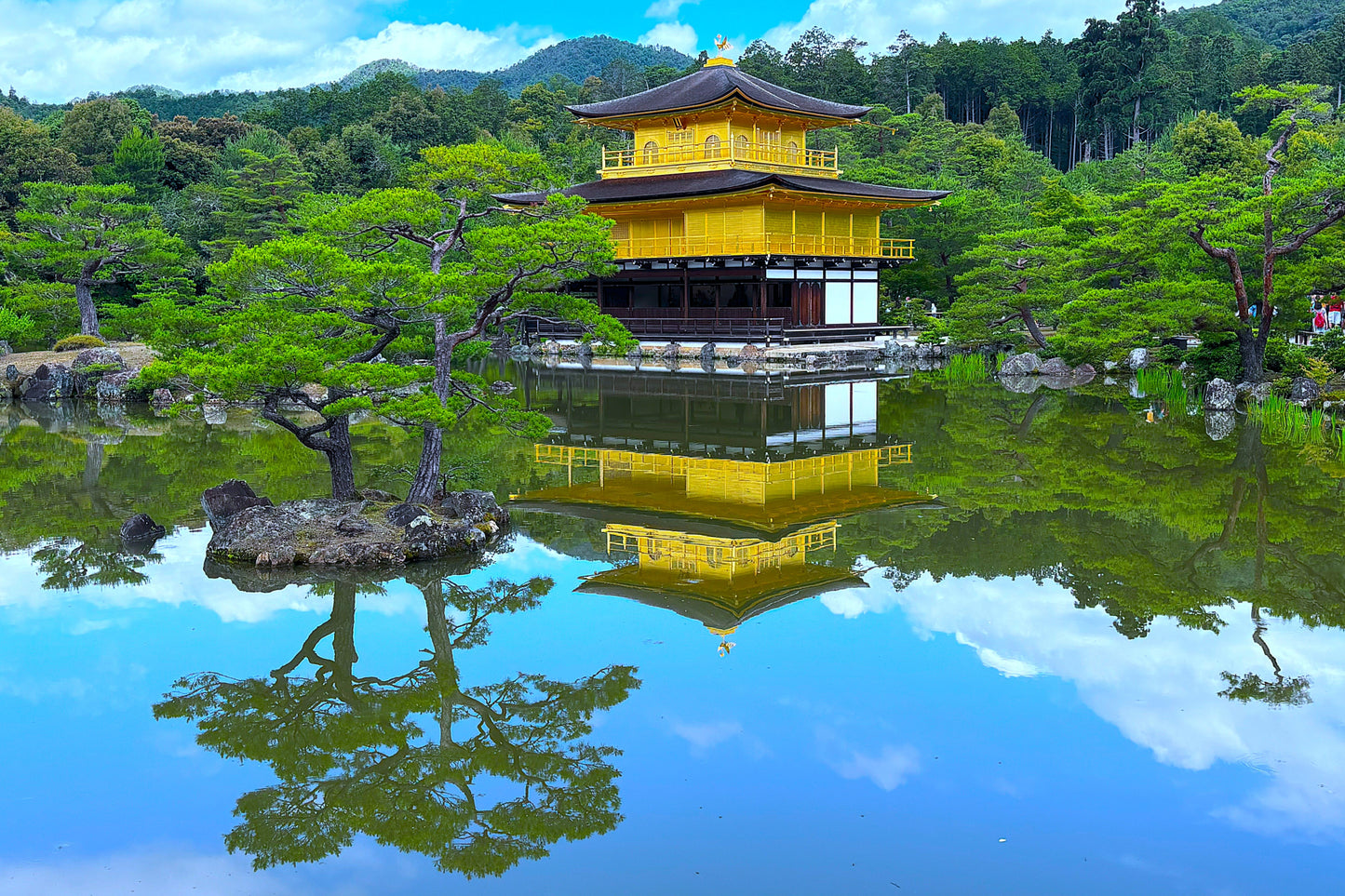 Kyoto’s Timeless Beauty: An 8-9 Hour Taxi Tour from Kobe