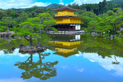 Kyoto’s Timeless Beauty: An 8-9 Hour Taxi Tour from Kobe