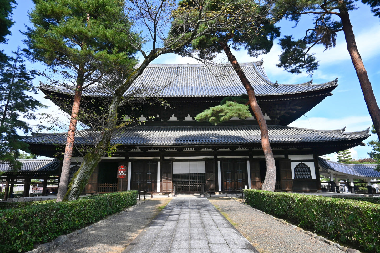 Kyoto’s Timeless Beauty: An 8-9 Hour Taxi Tour from Kobe