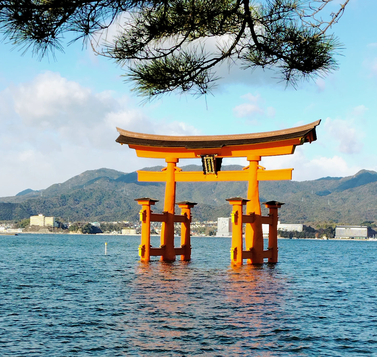 Hiroshima & Miyajima: Itsukushima Shrine & Castle(7h)