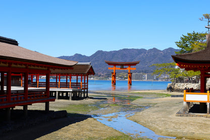 Hiroshima & Miyajima: Itsukushima Shrine & Castle(7h)