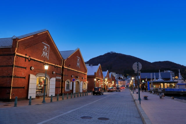 Otaru Cruise Highlights Tour (6h): Canal, Seafood & Mountain Views