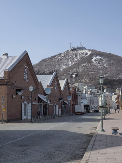 Otaru Cruise Highlights Tour (6h): Canal, Seafood & Mountain Views