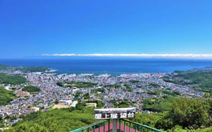 Otaru Cruise Highlights Tour (6h): Canal, Seafood & Mountain Views