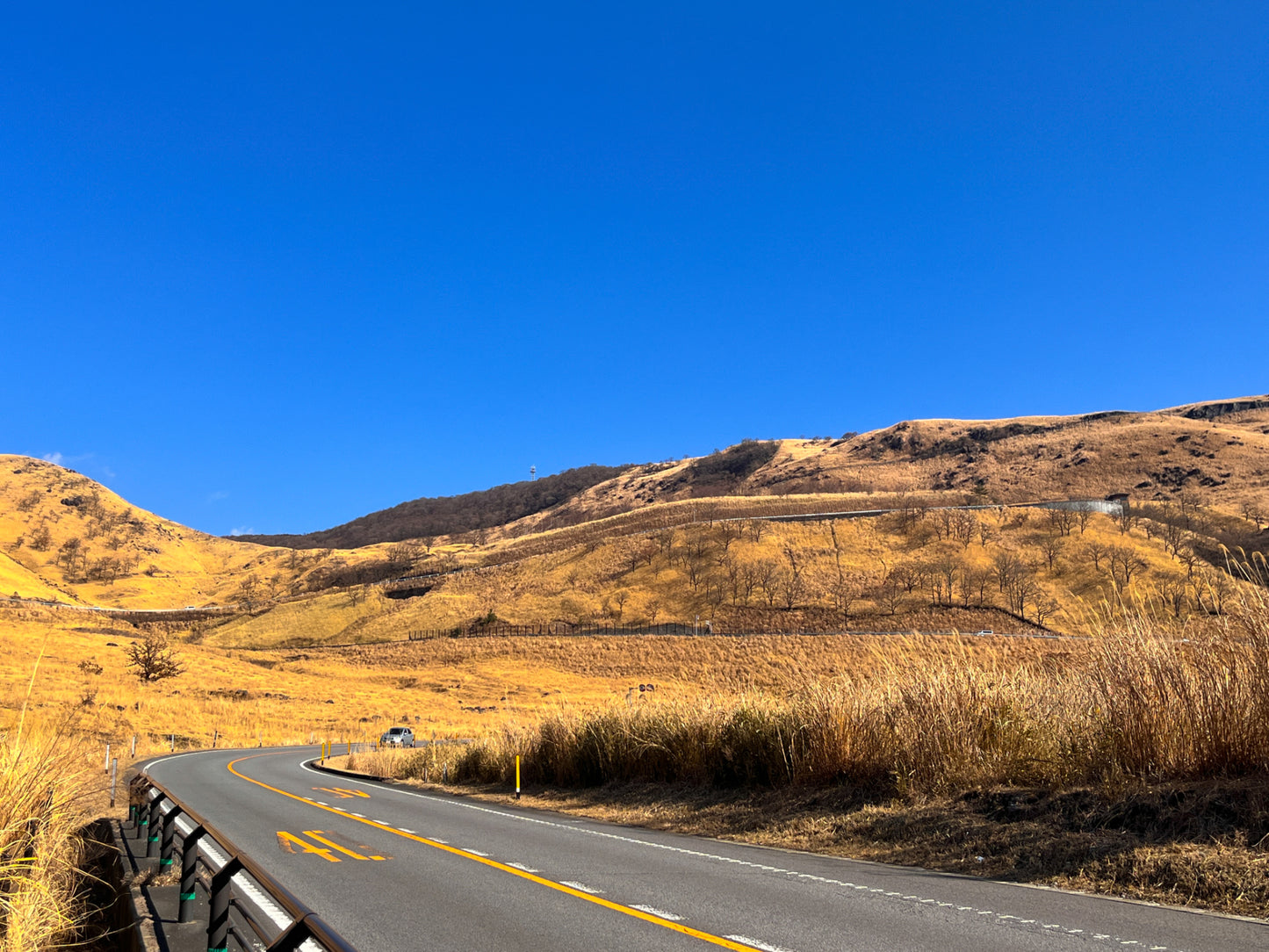Scenic Yufuin & Mountain View Dash Private Shore Excursion from Beppu Port：7-Hour