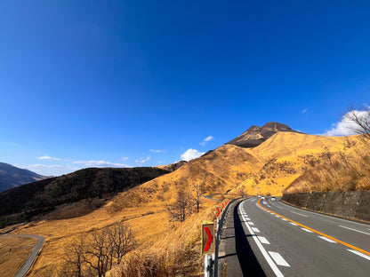 Scenic Yufuin & Mountain View Dash Private Shore Excursion from Beppu Port：7-Hour