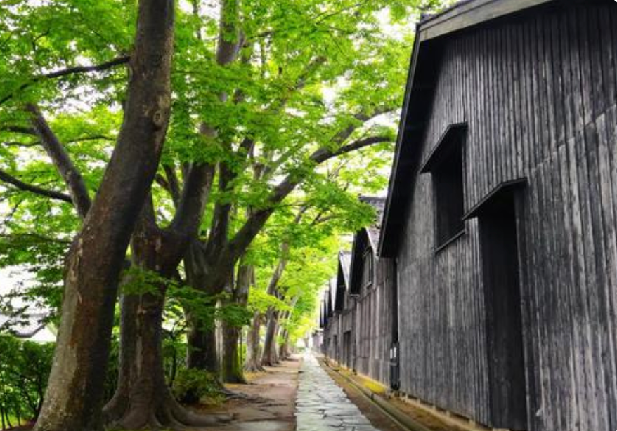 Sakata Private Shore Excursion 5Hours – Yamagata Highlights