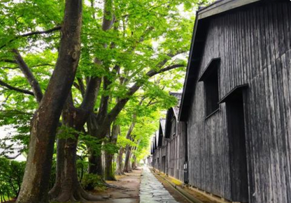 Sakata Private Shore Excursion 5Hours – Yamagata Highlights