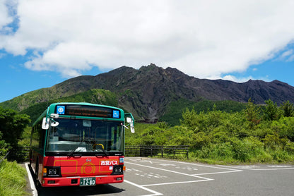 Kagoshima Private Shore Excursion: Sakurajima Volcano & Sengan-en Garden