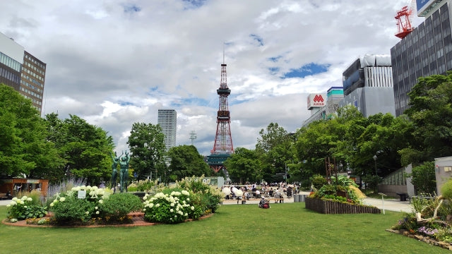 Otaru Cruise Tour (8h): Canal Walk, Sapporo Landmarks & Night View