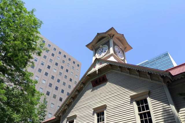Otaru Cruise Tour (8h): Canal Walk, Sapporo Landmarks & Night View