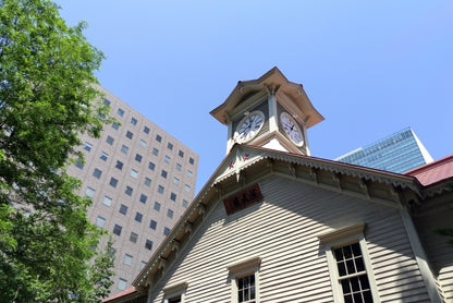 Otaru Cruise Tour (8h): Canal Walk, Sapporo Landmarks & Night View