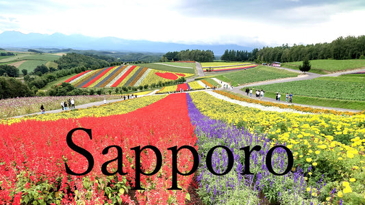From Sapporo: Furano and Biei Vibrant Fields Tour