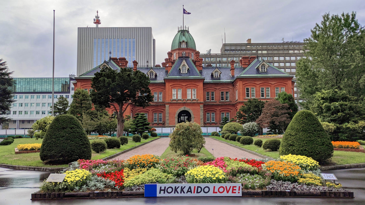 Otaru Cruise Tour (8h): Canal Walk, Sapporo Landmarks & Night View